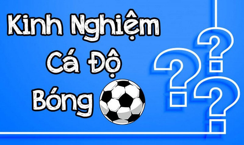 Cá độ 1×2 chỉ có thắng theo kinh nghiệm cá độ bóng đá